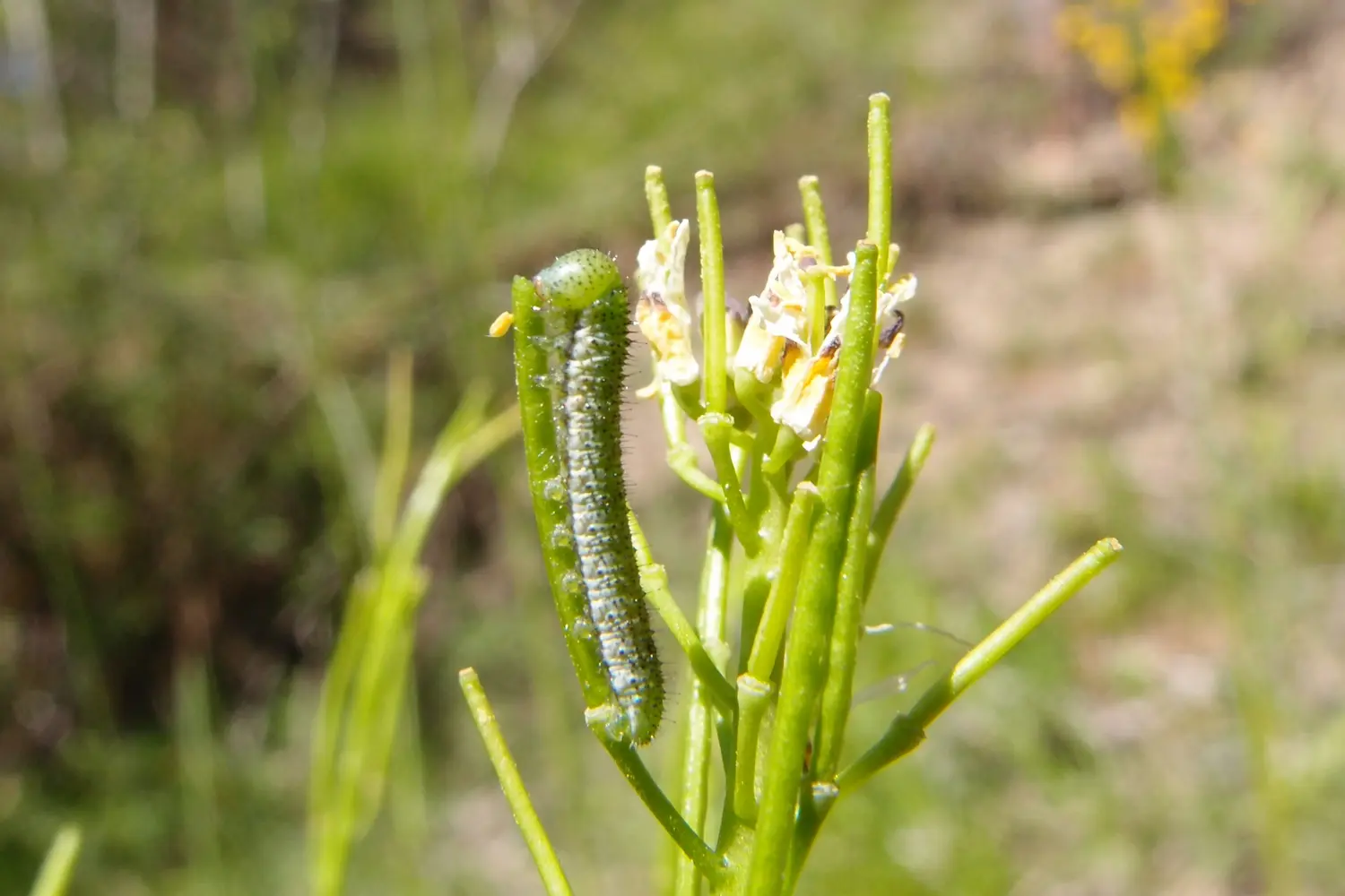 L'aurore — photo 2